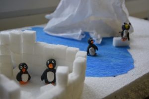 Projekt Antarktyda